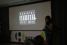 HiGSA gallery image