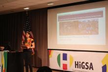 HiGSA gallery image