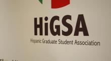 HiGSA gallery image