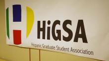 HiGSA gallery image